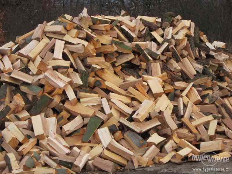 Prodám štípané palivové dřevo - foto 1