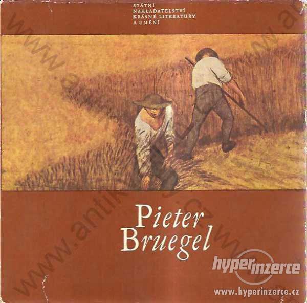 Pieter Bruegel Jaromír Neumann 1965 - foto 1