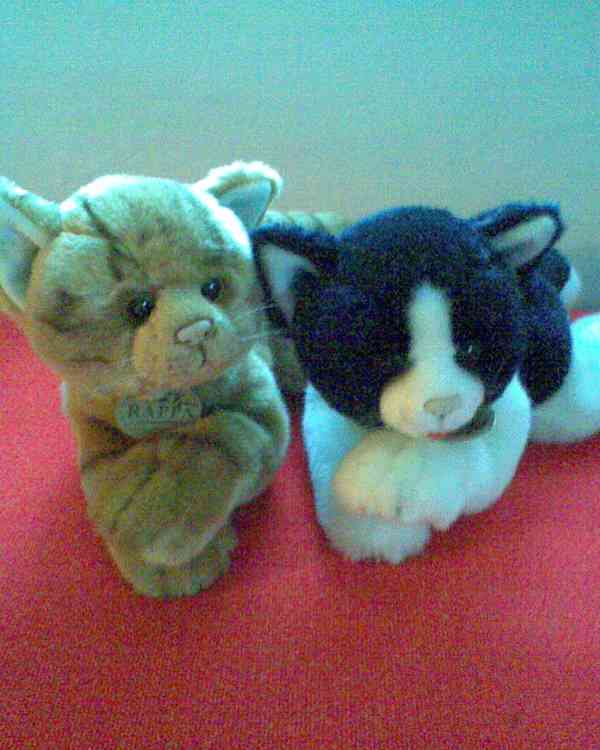 Plyšové kočičky Rappa a ovečka