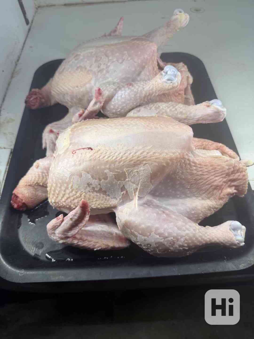 Prodej vykrmených brojlerových  kuřat - foto 1