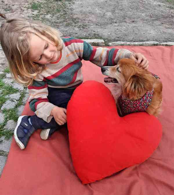 SINDY - 7,5 kg, kastrovaná fenečka 12 let  - foto 5