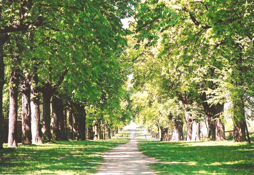 Pronajmu novostavbu 2+kk Slavkov u Brna, 58 m2 - foto 28