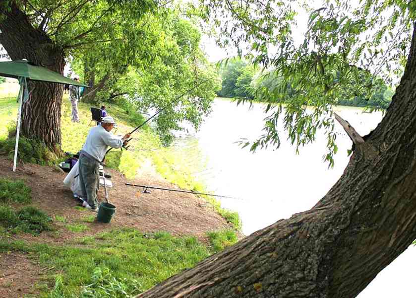 Pronajmu novostavbu 2+kk Slavkov u Brna, 58 m2 - foto 30