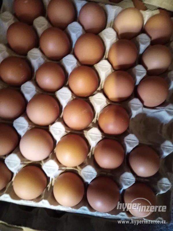 Vajíčka Domácí 1 kus za 4 Kč - foto 2