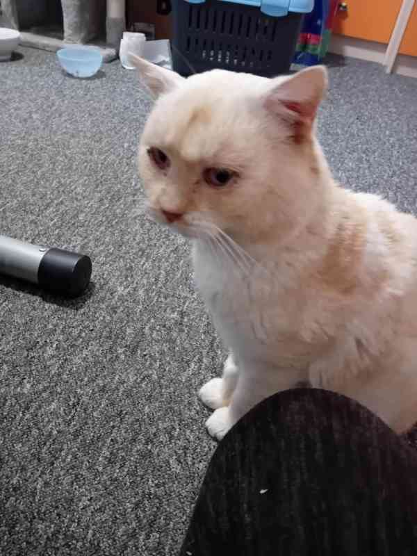 Fešák se hlásí - foto 3