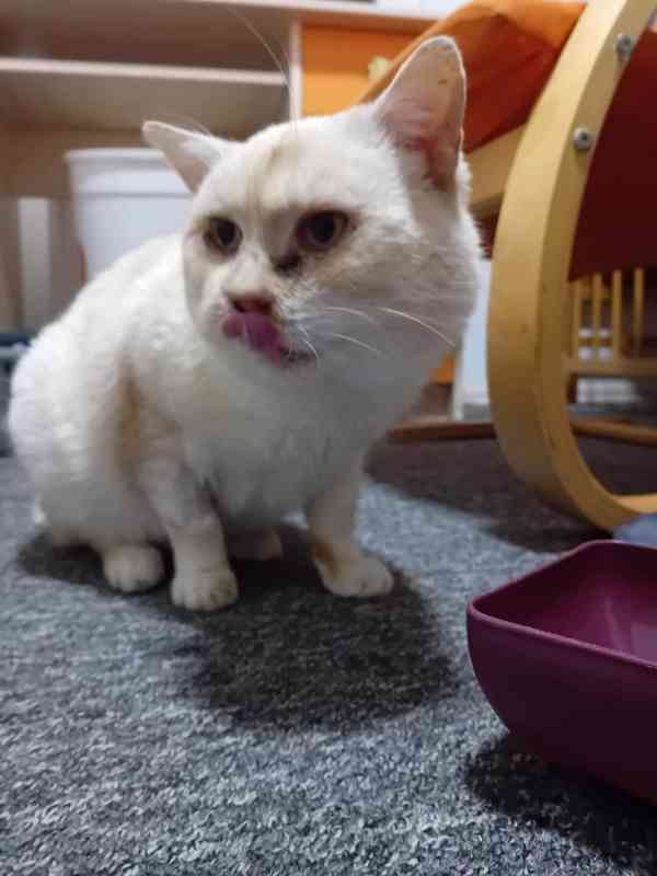 Fešák se hlásí - foto 1