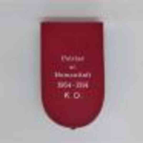 ru vyznamenání - foto 3