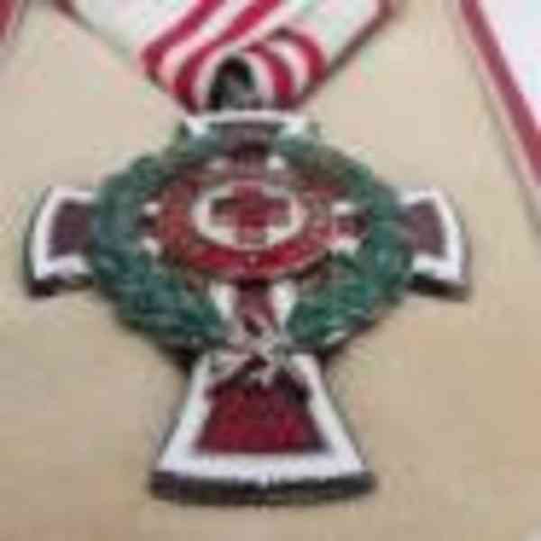 ru vyznamenání - foto 6