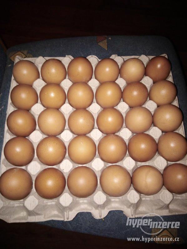 Vajíčka Domácí 1k za 4.5kc - foto 1