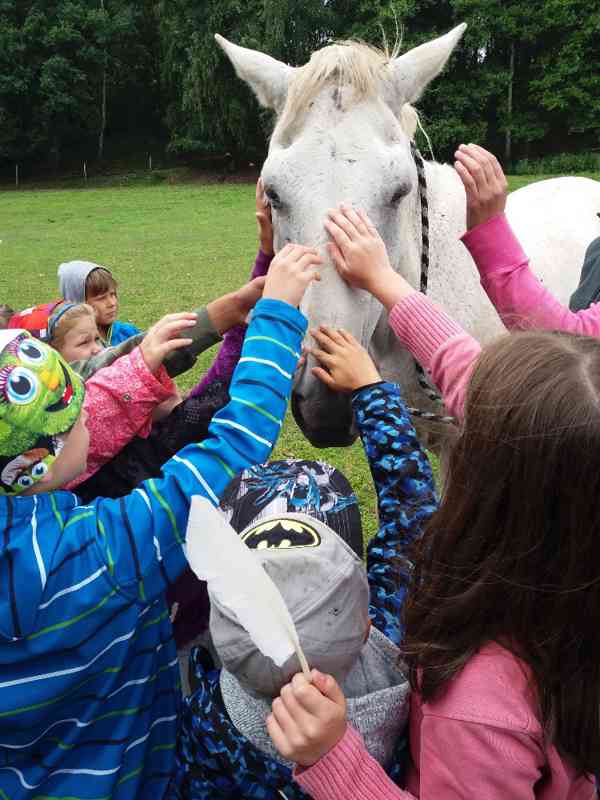 Dětský koňský tábor se zvířaty na statku - foto 3