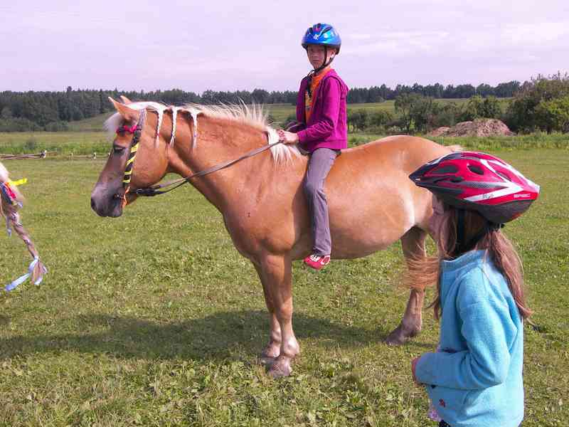 Dětský koňský tábor se zvířaty na statku - foto 28