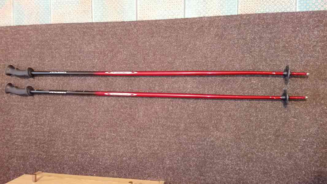 Sjezdové lyže Dynastar Driver X08 - foto 9