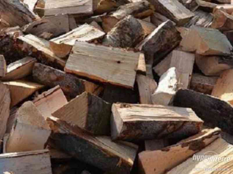 dřevo na topení - foto 1