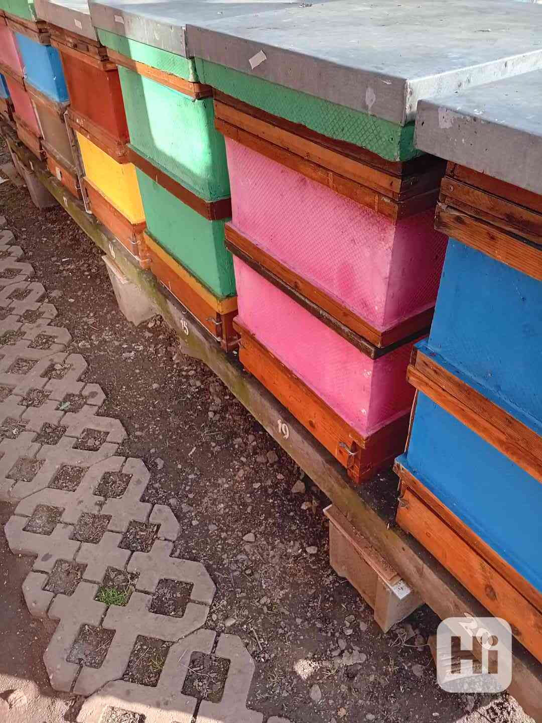 Včelí úly - foto 1