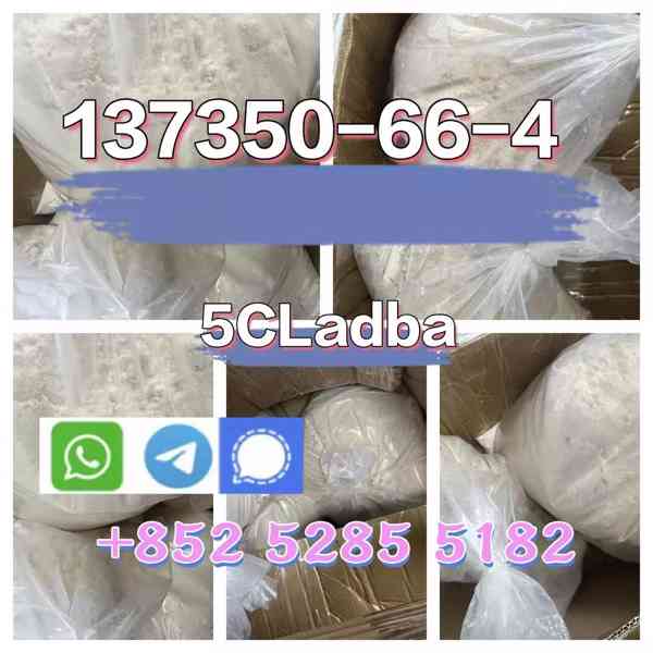 137350-66-4 multi peptides for you choose - foto 3