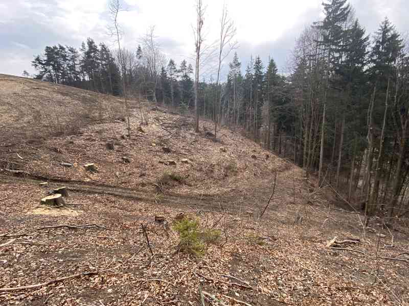 Lesní pozemek Zborov na Moravě - foto 5