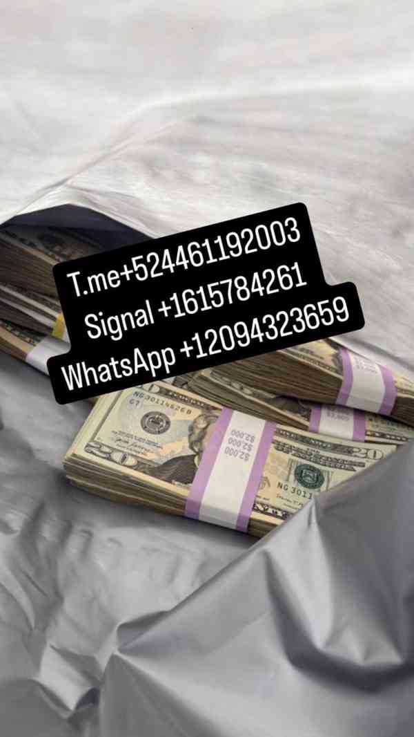 Signal @Billyworld.77 Buy EU Passports/Buy Schengen Passport - foto 1