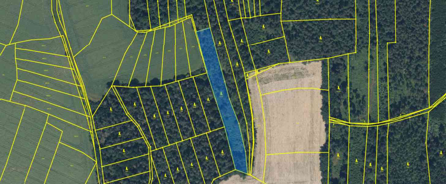 Lesní pozemek Lštění nad Zubřinou - foto 12