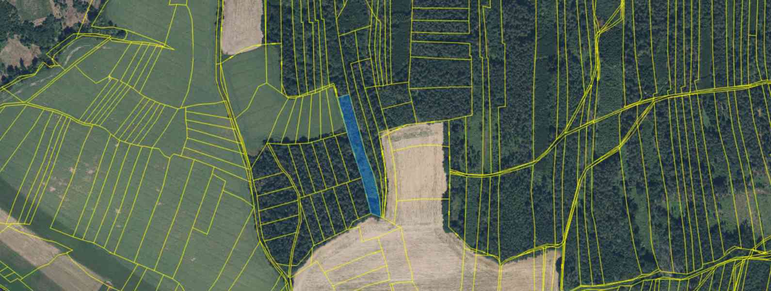 Lesní pozemek Lštění nad Zubřinou - foto 13