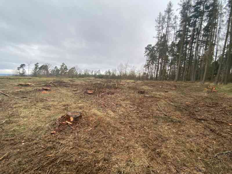 Lesní pozemek Lštění nad Zubřinou - foto 3