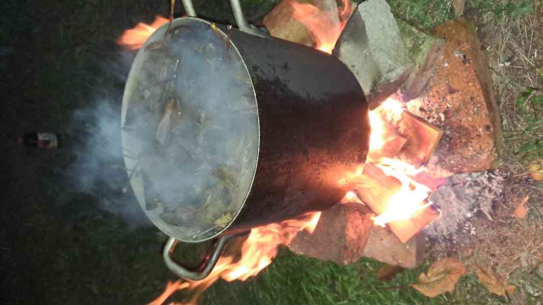 Silný odvar z listů vlašských ořechů - foto 2