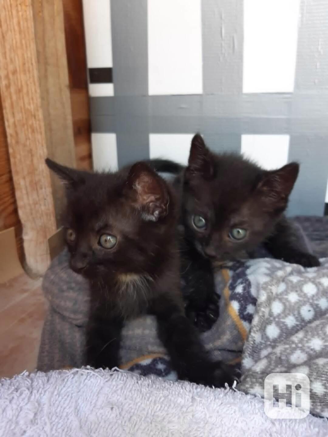 Černí andílci - foto 1