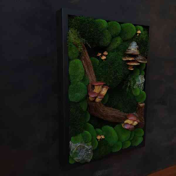 Mechový obraz / obraz ze stabilizovaného mechu - foto 2