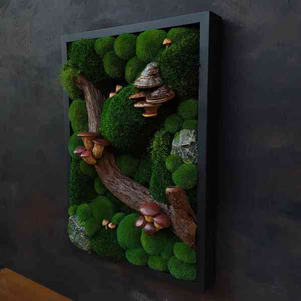 Mechový obraz / obraz ze stabilizovaného mechu - foto 3