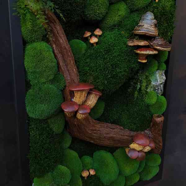 Mechový obraz / obraz ze stabilizovaného mechu - foto 4