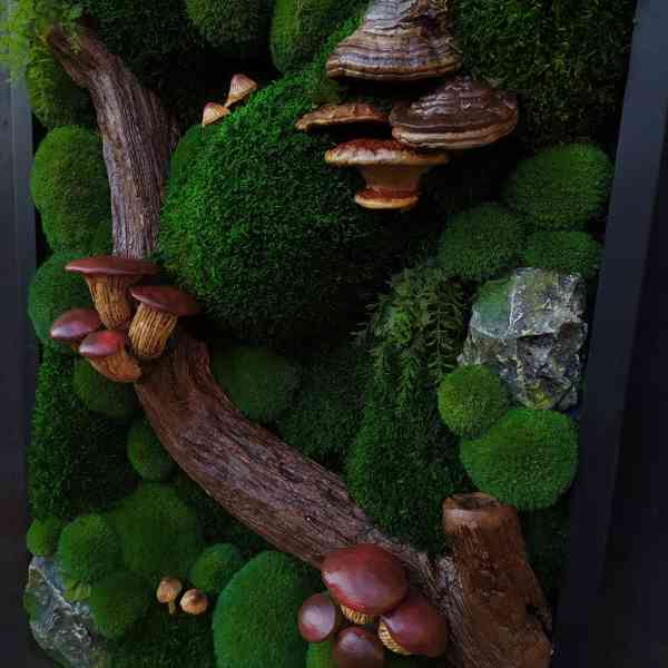 Mechový obraz / obraz ze stabilizovaného mechu - foto 5