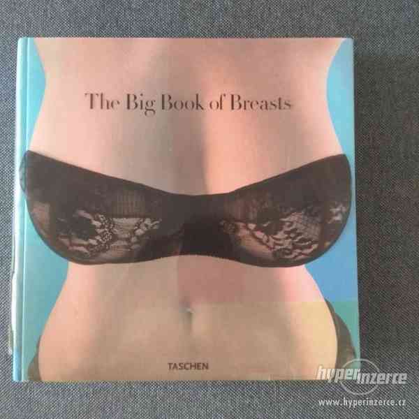 Big Book of Breasts - foto 1