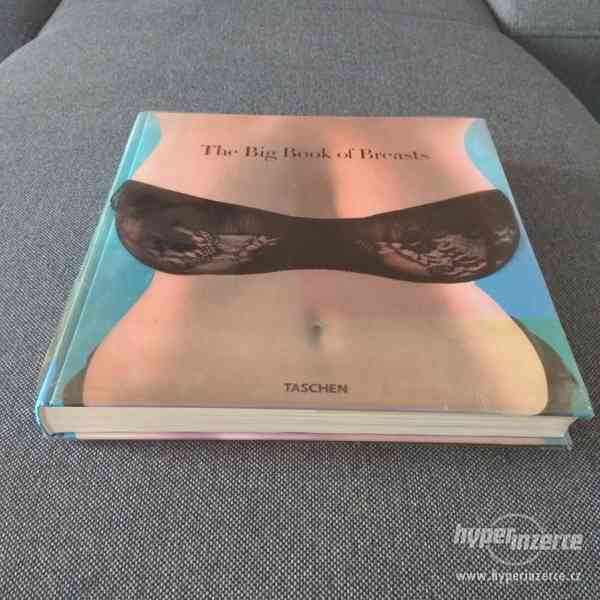 Big Book of Breasts - foto 3