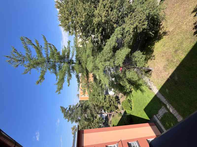 Prodej družstevního bytu 3+1 70,6 m² - foto 5