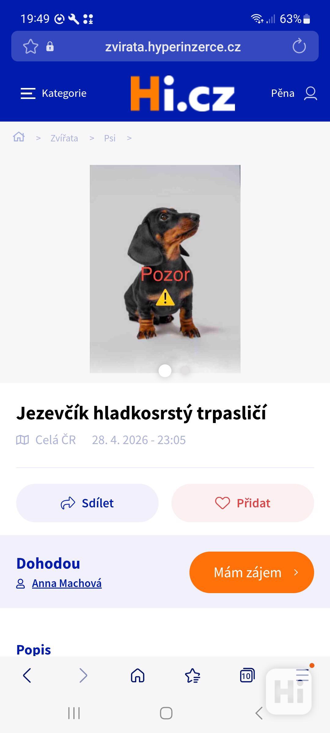 Jezevčík KONKURENČNÍ BOJ  - foto 1