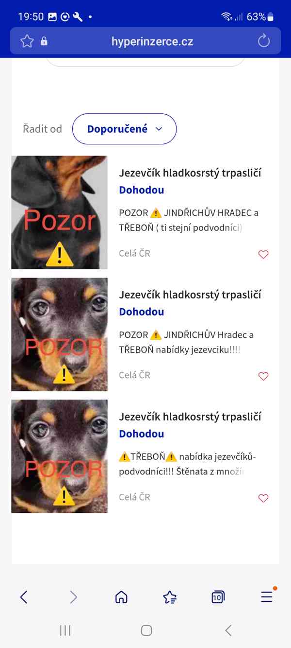 Jezevčík KONKURENČNÍ BOJ  - foto 2