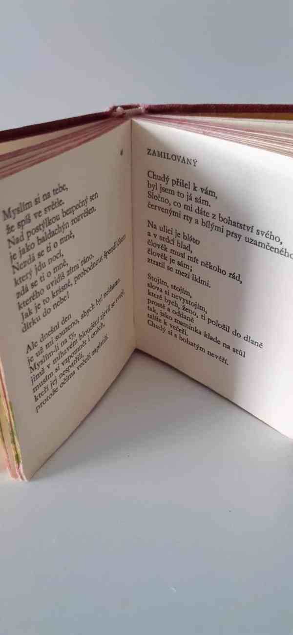 kapesní knížečka - foto 2