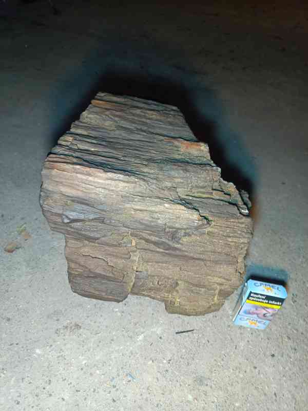 Zkamenele drevo - foto 4