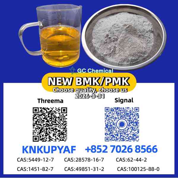 Worldwide Delivery PM.K 28578-16-7 with BM.K CAS 5449-12-7