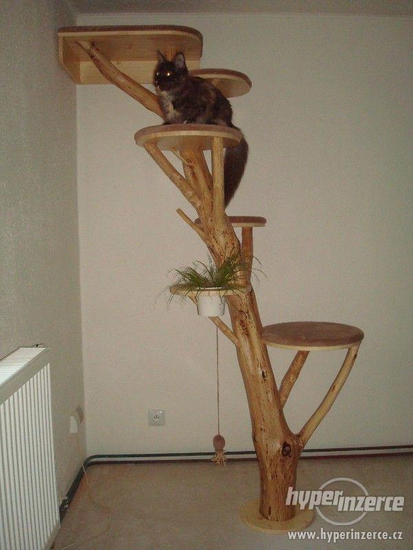 kočka/koťata/kočičí strom/škrabadlo/prolézačka/boudička - foto 11