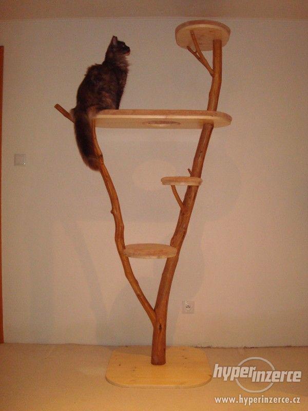 kočka/koťata/kočičí strom/škrabadlo/prolézačka/boudička - foto 26