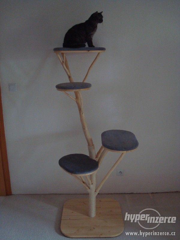 kočka/koťata/kočičí strom/škrabadlo/prolézačka/boudička - foto 28
