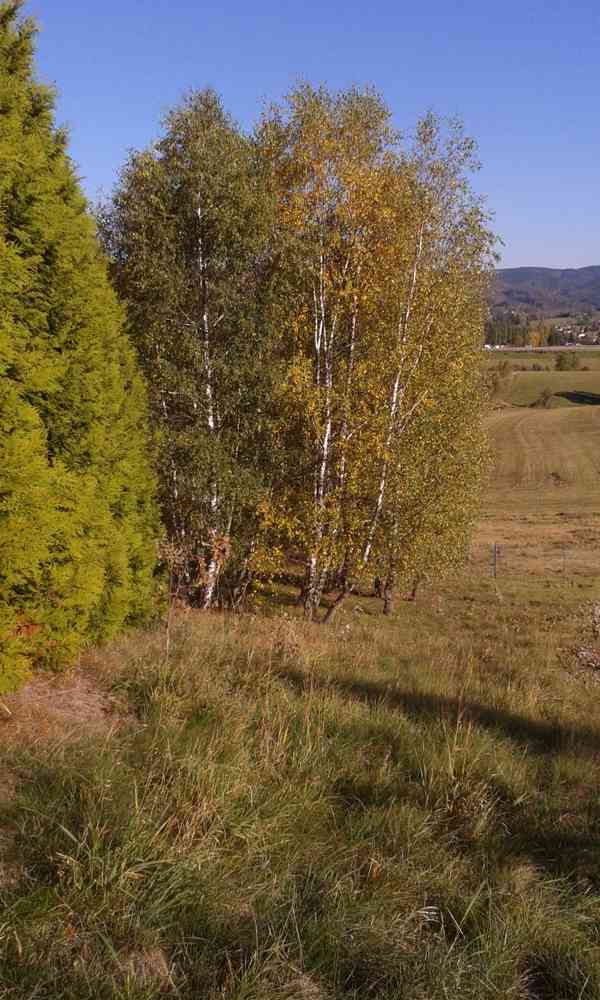 Pozemky v Krásné Studánce u Liberce na prodej ! - foto 6