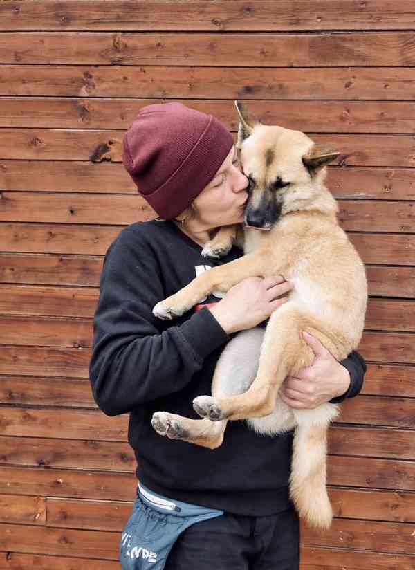 REBECCA - 12 kg, kastrovaná fenečka 2 roky  - foto 2