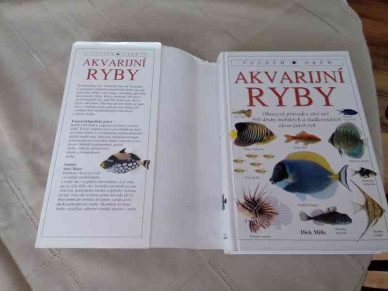Akvarijní ryby - pouhým okem - foto 2