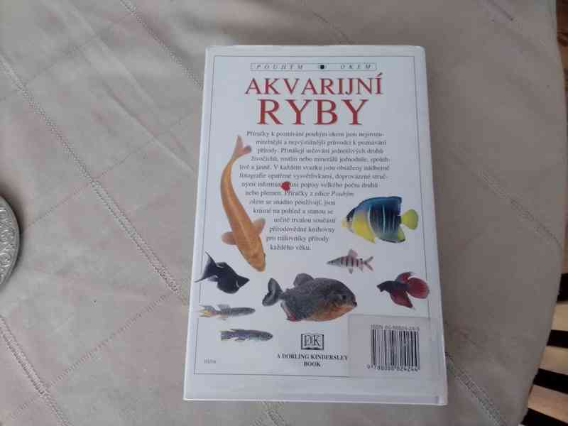 Akvarijní ryby - pouhým okem - foto 7
