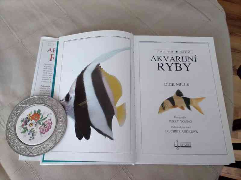 Akvarijní ryby - pouhým okem - foto 3