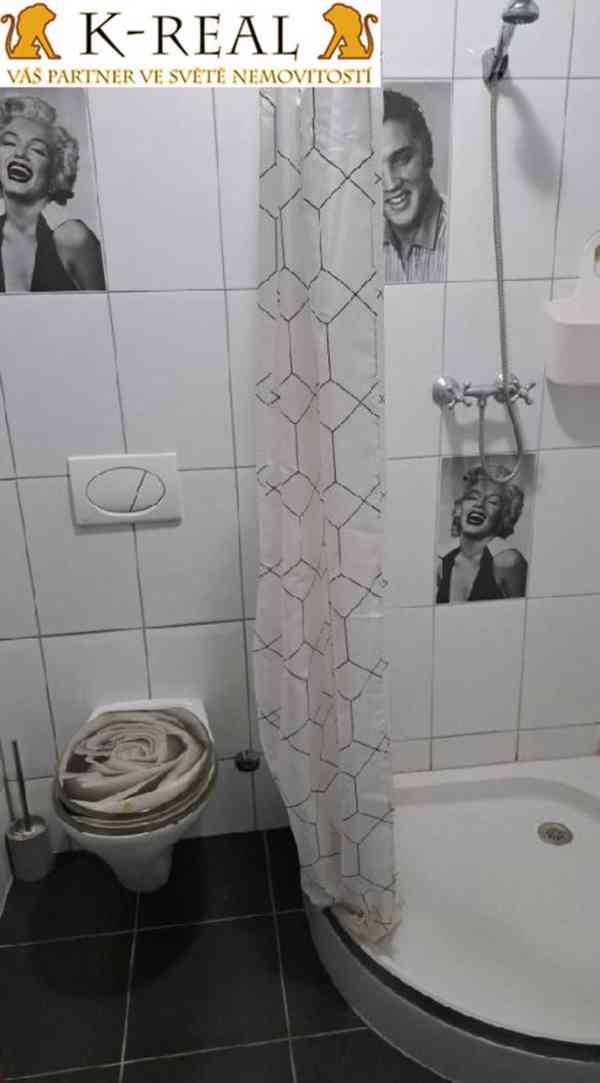 Pronájem byt 1+kk Brno - Bosonohy, okr. Brno - město - foto 7