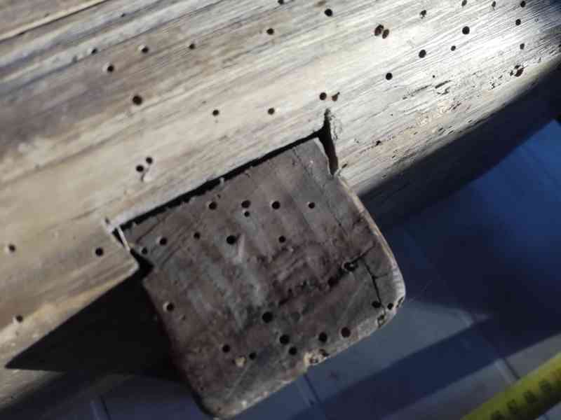 Kruhadlo na zelí jako dekorace - foto 7