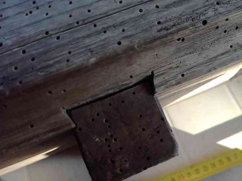 Kruhadlo na zelí jako dekorace - foto 6