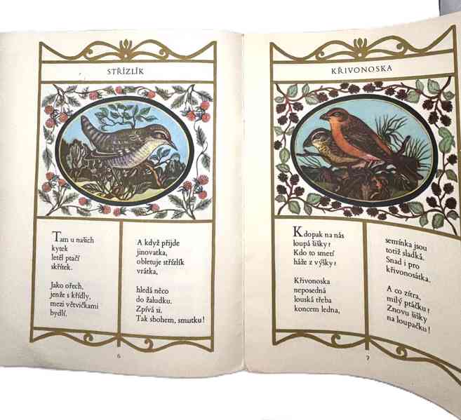 Lesní zpěváčci - foto 4